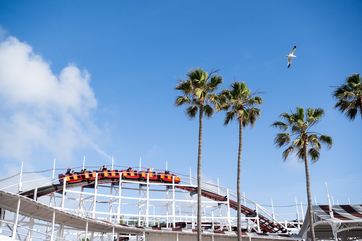 Historic roller coaster at Belmont Park in action with a background of palm trees and blue sky