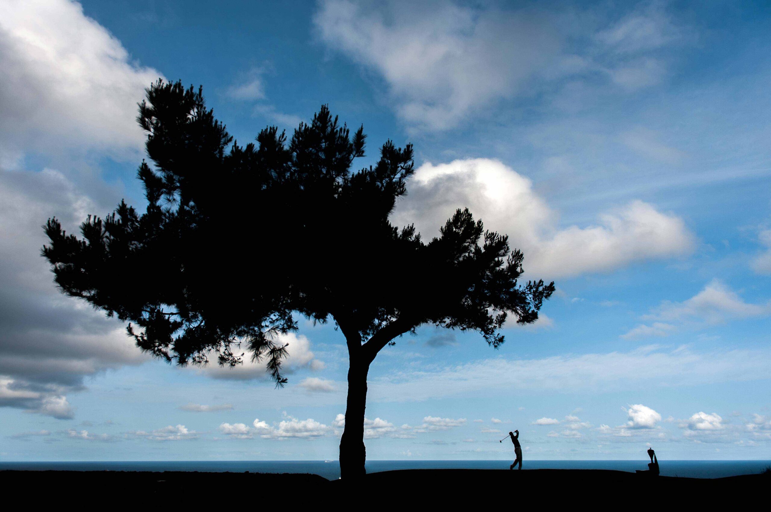 Silhouette of a golfer under a lone tree against a bright blue sky